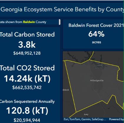 Georgia Forest Cover 1985 - 2023 Hub Site